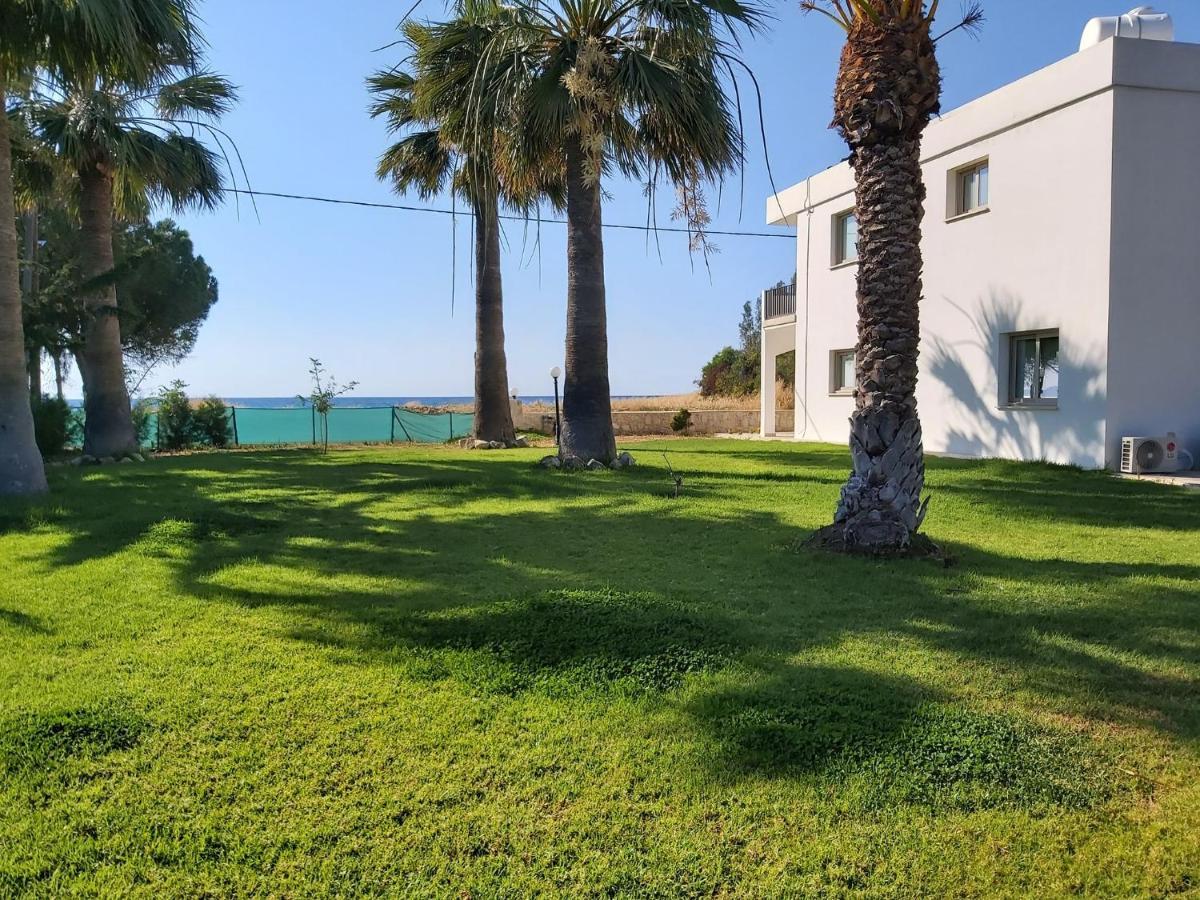 Argaka Palm Tree Apts Екстер'єр фото