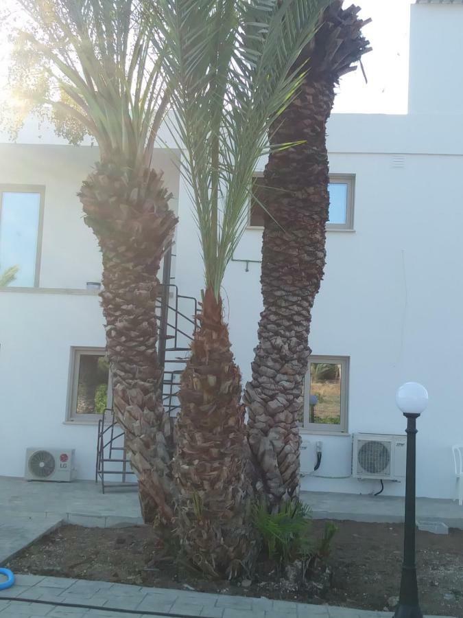 Argaka Palm Tree Apts Екстер'єр фото